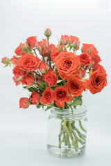 red miniature rose in a vase 