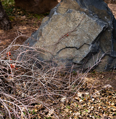 rocks, pebbles,
