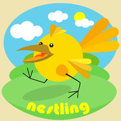 the chick walks on the green grass against the sky and the sun