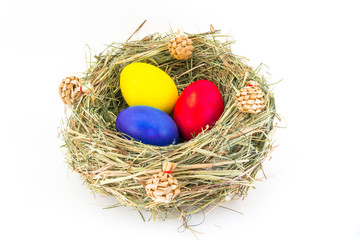 colored easter eggs in grass nest with bumps