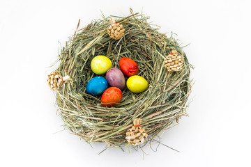colored easter quail eggs in grass nest with bumps