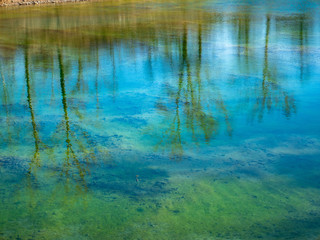 Mirror reflection of trees and clouds in the lake