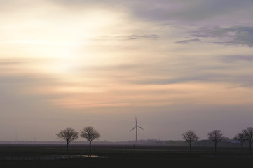 Field with trees and windmills on the horizon in the evening. Typical dutch landscape. North Holland, Hollands Kroon, Netherlands.