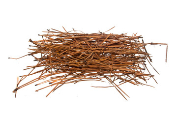 Fototapeta premium dry grass isolated on white background