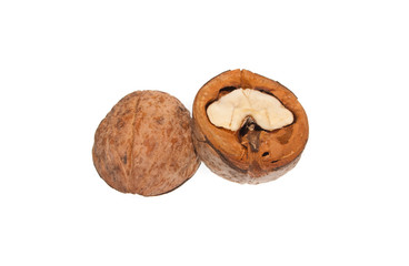 nut isolated on white background