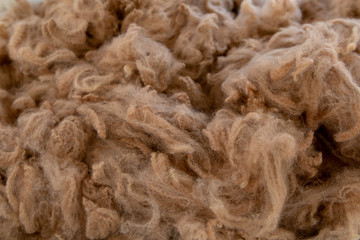Fine, soft, warm alpaca wool 