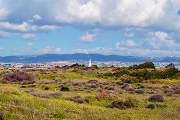 Fototapeta premium Nature and vicinities of Cyprus, Paphos