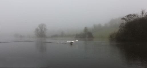 Impressionen aus Irland