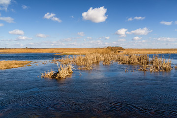 Narwiański Park Narodowy. Kładka Waniewo. Rzeka Narew © podlaski49