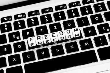 Freedom of the internet