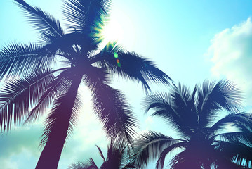 Fototapeta na wymiar Vintage silhouette coconut tree and sunny sky background,summer concept