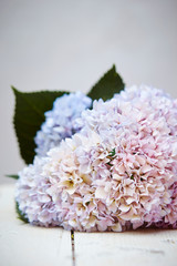 Beautiful flower bouquet 