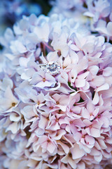 Fototapeta premium Beautiful flower bouquet 