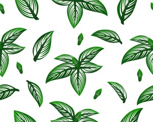 Seamless pattern of green realistic tropical leaves. Graphic design.
