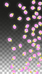 Vector Realistic Pink Petals Falling on Transparent Background.  Spring Romantic Flowers Illustration. Flying Petals. Sakura Spa Design. Blossom Confetti.