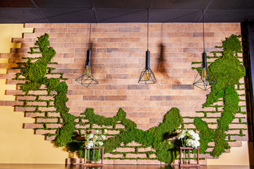 Fototapety  Fotografia ogólnego projektu koncepcyjnego wnętrza w kawiarni przy użyciu mchu ozdobnego.