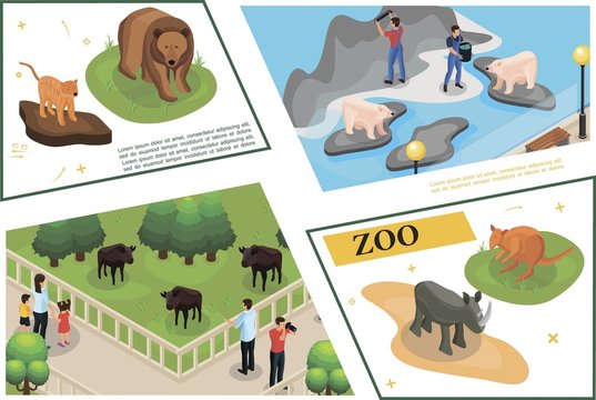 Isometric Zoo Concept