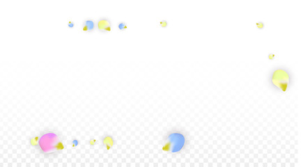 Vector Realistic Colorful Petals Falling on Transparent Background.  Spring Romantic Flowers Illustration. Flying Petals. Sakura Spa Design. Blossom Confetti. Design Elements for Wedding Decoration.