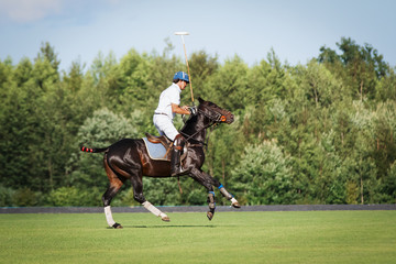 Horse polo player with a mallet in game action