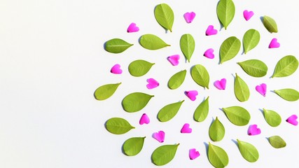 緑の葉っぱとハート型のピンク花びら