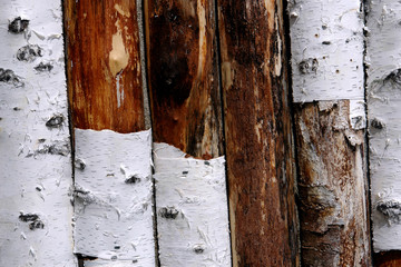 old wooden door with peeling paint