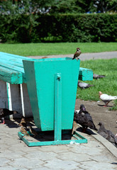 trash can in the park