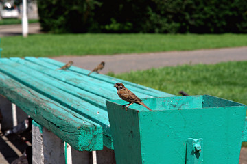 laundry drying on line