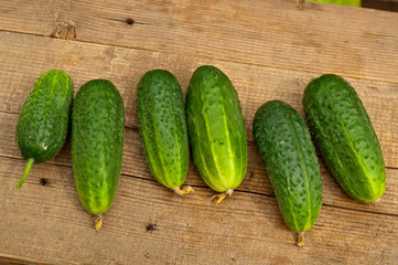 fresh cucumbers on wooden table