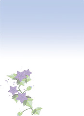 喪中ハガキの花のイラスト