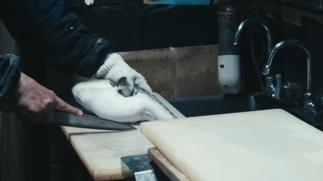 The fugu chef cuts off the fins of a globefish