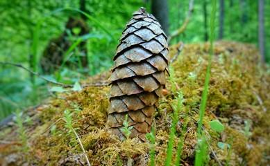 Nationalpark Kalkalpen