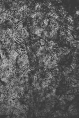 Grey paper texture. Close up view of grey recycled paper as texture and background. 