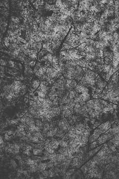 Grey Paper Texture. Close Up View Of Grey Recycled Paper As Texture And Background. 