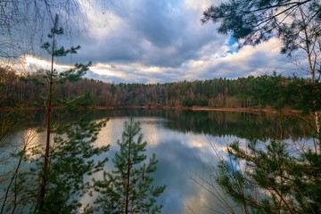 the lake in the forest
