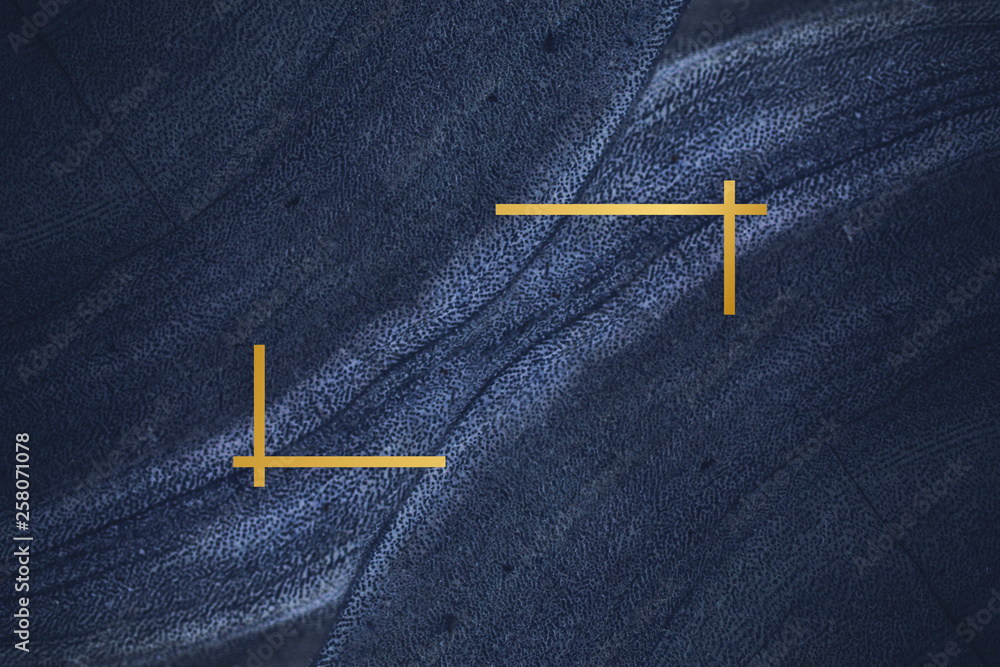 Poster fluid design backdrop frame
