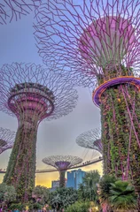 Fotobehang Singapore, Gardens by the Bay, HDR-afbeelding © mehdi33300
