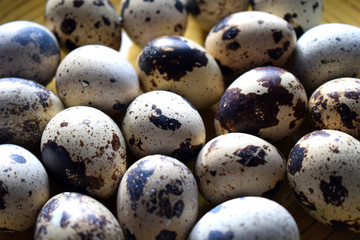 quail eggs macro