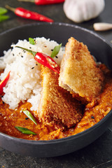 Hot Spicy Crispy Fried Chicken Fillet with Curry and Rice on Dark Background