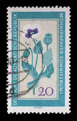 Stamp issued in Germany - Democratic Republic (DDR) shows Papaver somniferum, Medicinal Plants series, circa 1960
