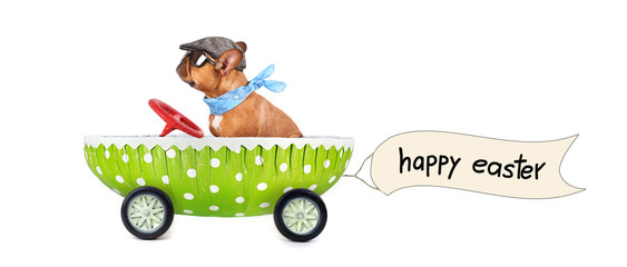 Osterei mit Bulldogge