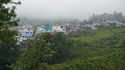 natural and hill station