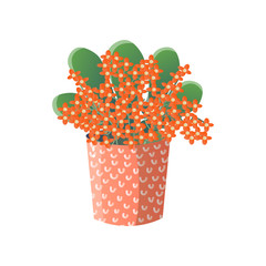 Orange flowers with large green leaves in wide red dotted vase isolated on white background