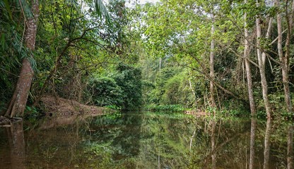 Fototapeta na wymiar Nationalpark Kaeng Krachan, Thailand