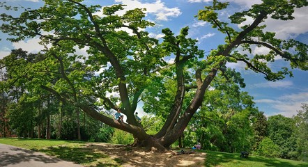 T&uuml;rkenschanzpark, Wien