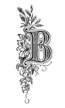 Vintage antique line drawing or engraving of decorative capital letter B with floral ornament or embellishment around. From Biblische Geschichte des alten und neuen Testaments, Germany 1859.