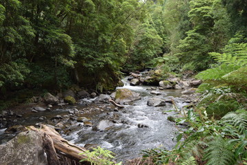 A&ccedil;ores Potugal