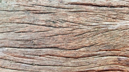Old wood sheets that are decaying.