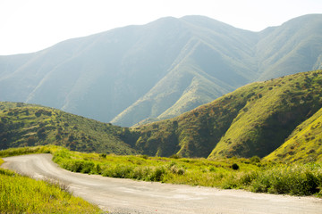 Colorful Spring mountain trail upon a hidden meadow