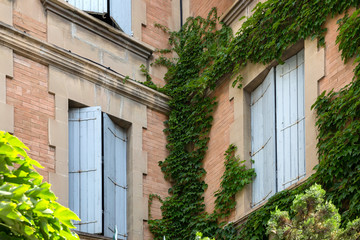 Fototapeta na wymiar Typical Provencal architectrue with ivy growing outside the blue shuttered windows