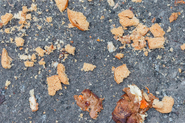 wet bread pieces thrown on asphalt for pigeons, abstract background. Feeding birds in the cold season concept.